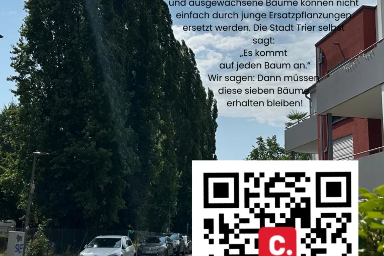 2026-08 Pappeln